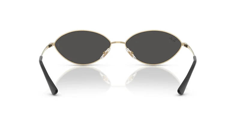 Ray-Ban 0Rb3757 Oval Sunglasses