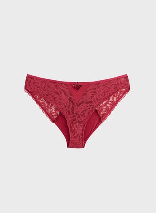 Lace Detail High Leg Brief