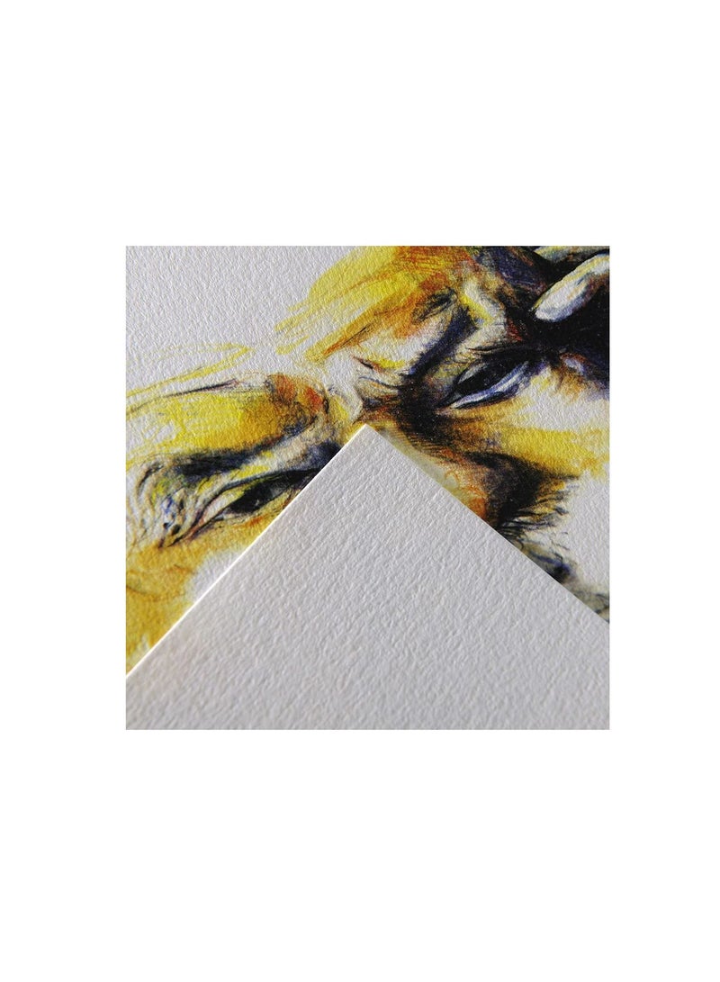 Canson C a Grain 224gsm Heavyweight Drawing Paper fine Grain Texture A3 pad Including 20 Sheets - Image 2