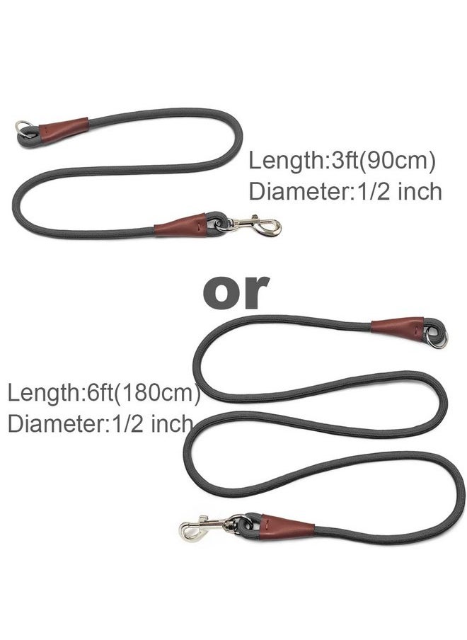 Mycicy - Mycicy No Handle Dog Leash 3FT / 6FT, Tether Training Leash Tie Down, Dog Extension Rope Great for Exercising, Bicycle and Outdoor, Running, Walking - Image 1