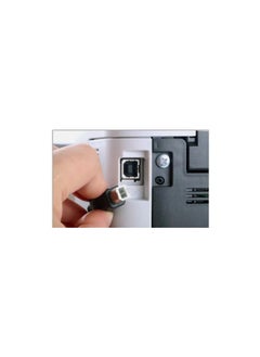 erorex USB Printer Cable, Printer Cable, High-Speed USB 2.0 USB-A to USB-B Printer Cable for PC to HP Printer & Canon Scanner  - Image 3