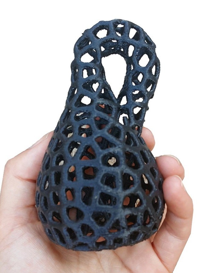 3D Central Klein Bottle Printed Vase Mathematics Art - Image 2