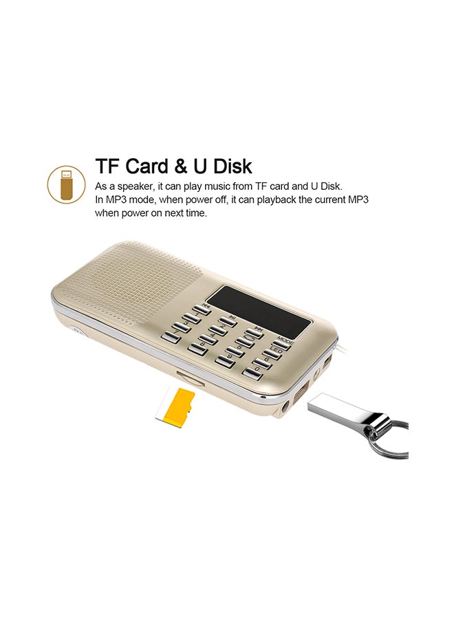 Mini FM Digital Radio V429 Gold - Image 4