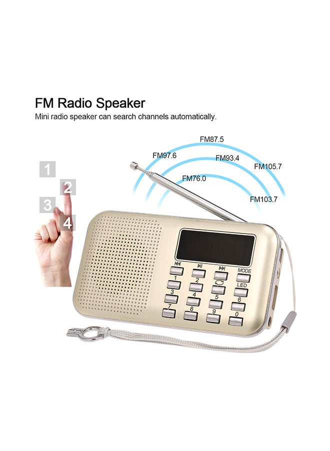 Mini FM Digital Radio V429 Gold - Image 5