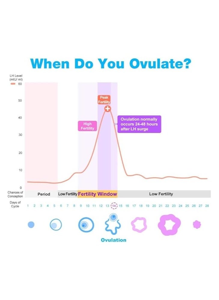 Easy@Home - Ovulation Fertility Test Predictor Kit 10 LH Strips Accurate Fertility Test for Women Ovulation - Image 1