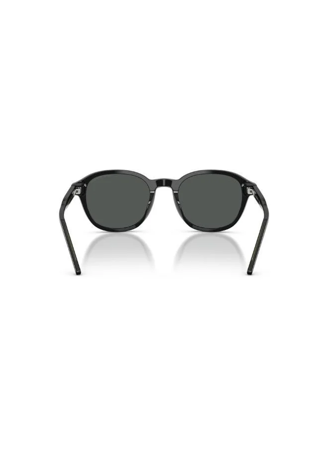EMPORIO ARMANI Emporio Armani 0Ea4247U Round Sunglasses-Black