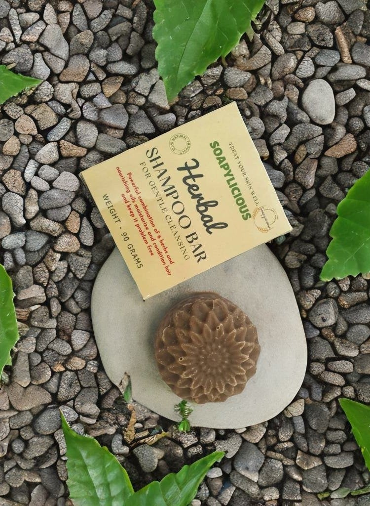 سوبلي شيز شامبو الأعشاب – صابون عضوي مصنوع يدويًا للعناية الطبيعية بالشعر | يعالج تساقط الشعر، الشيب، وترقق الشعر - Image 2