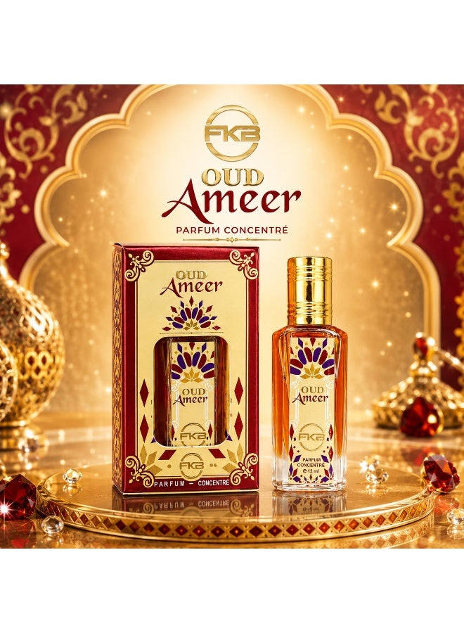 FKB PERFUMES OUD AMEER - Image 4
