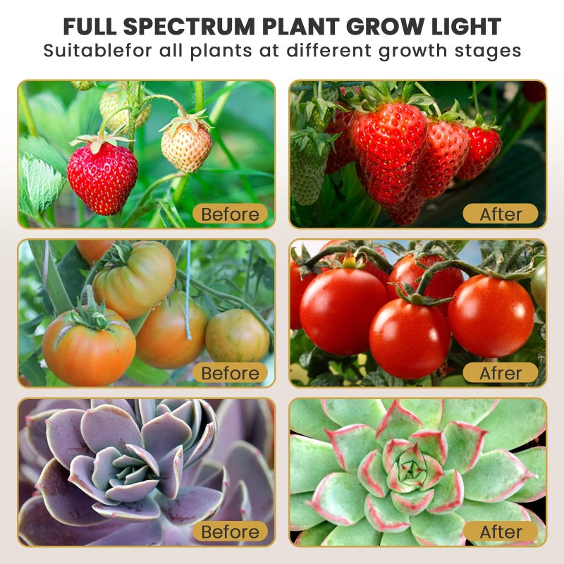 bseah Plant Grow Light for Indoor Plants, Full Spectrum Indoor Grow Light, 3 Modes & 10-Level Dimmable, Auto ON & Off Timer 3/9/12H - Image 5