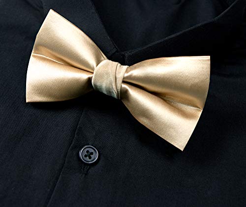 Spring Notion Men's Solid Color Satin Microfiber Bow Tie Champagne - Image 3
