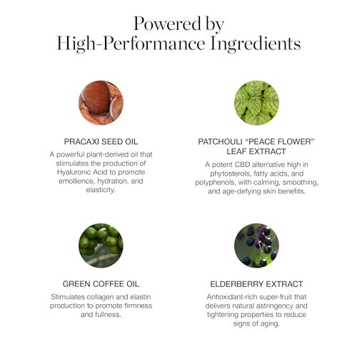 Ogee Sculpted Complexion Foundation Stick Juniper 325W Medium Light Tan Olive Undertones Full Coverage Foundation Makeup Instantly Balance Even Complexion 70 Organic Ingredients - Image 5