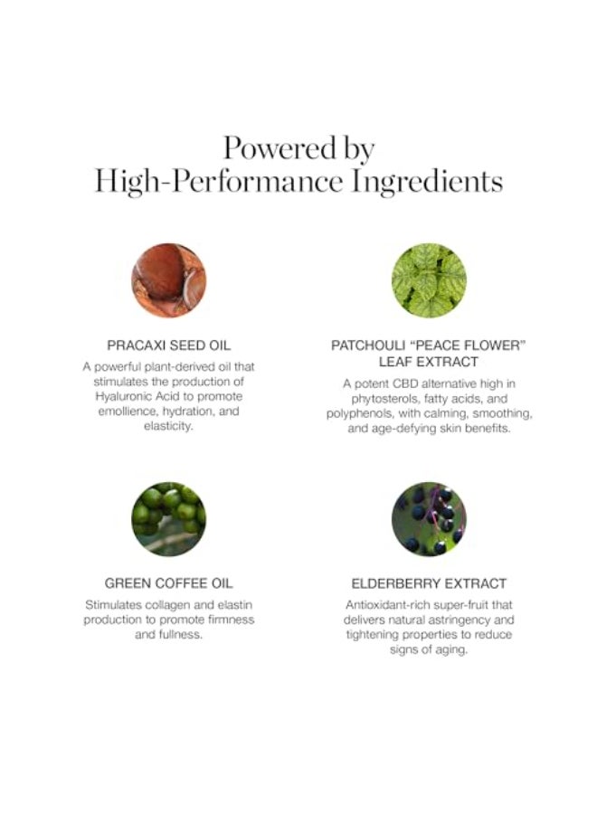 Ogee Sculpted Complexion Foundation Stick Juniper 325W Medium Light Tan Olive Undertones Full Coverage Foundation Makeup Instantly Balance Even Complexion 70 Organic Ingredients - Image 4