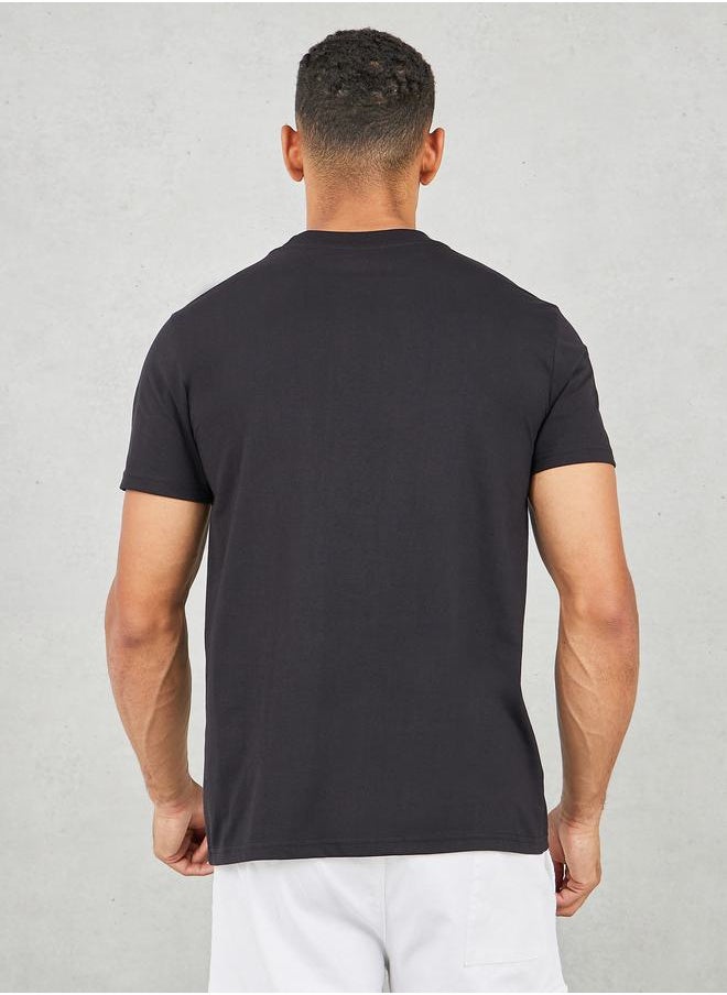 Badge Detail Mock Neck Regular Fit T-Shirt - pzsku/ZB4E3EFFD20A00A64FBD0Z/45/_/1723636449/2ba4f56b-bff0-4ef0-94dd-30ba1db750da