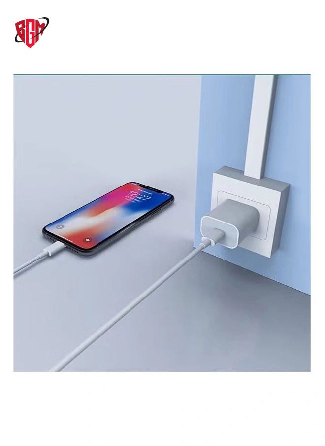 BGM - 20W Original Phone Fast Charger With Cable For Apple iPhone - Image 1