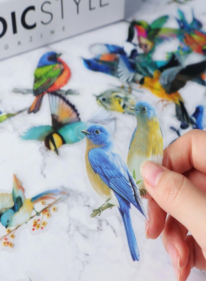 Aixoom 40PCS Bird Stickers, Bird Stickers Waterproof for Scrapbook Journal Laptop Gift Water Bottle Cell Phone Cases for Adults Kids Aesthetic Crafts - Image 5