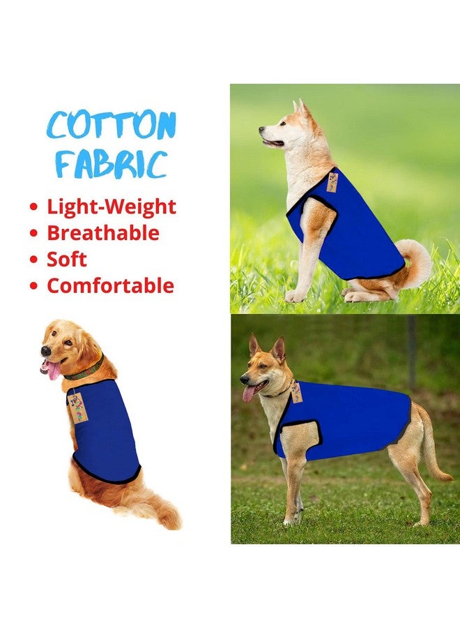 ويستيرن إرا تي شيرت صيفي رائع بدون أكمام من القطن للكلاب/الجراء - ملابس عصرية وجيدة التهوية لحيوانك الأليف (أزرق ملكي) (مقاس كبير جدًا - 24 بوصة) - Image 3