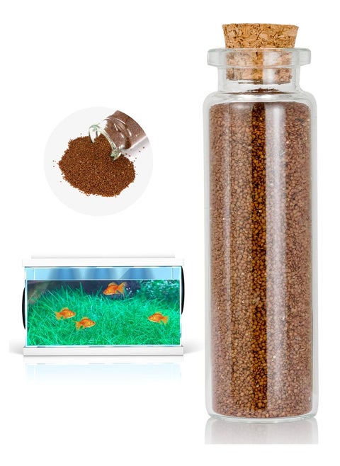 Aquarium Seeds Coleus Leaf Grass 15ml