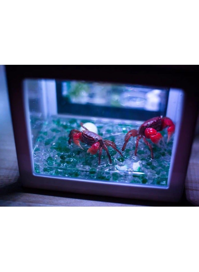 Rubik 250g Fish Tank Aquarium Decorated Glass Stone, Glass Pebbles Artificial Glaze Crystal Stone for Fish Turtle Tank Landscape Bottom & Potted Plants Decoration (Green) - Image 2