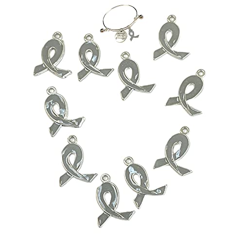 Linpeng Ribbon Charms For Bracelet Making, Gray Ribbon Brain Cancer Awareness Charms Bulk, DIY Jewelry Supplies, Gift For Beader, 21mm x15mm, 10 pcs - Image 1