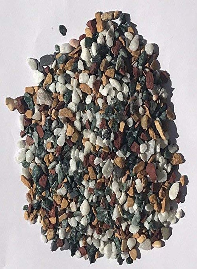 Pikvy Chips - Mix Decorative Stones Marble Chips Pebble Stones for Aquarium Home Garden Indoor & Outdoor Decoration (1 Kg) - Image 2