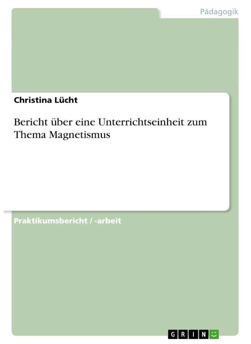 Bericht über eine Unterrichtseinheit zum Thema Magnetismus 