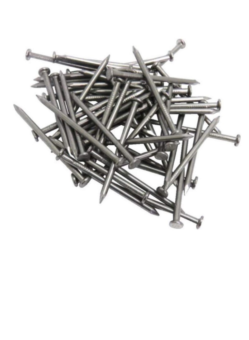 High Strength Round Head Nails For Carpentry Hardware Electrical Etc (300, 2 1/2 inch) - Image 1