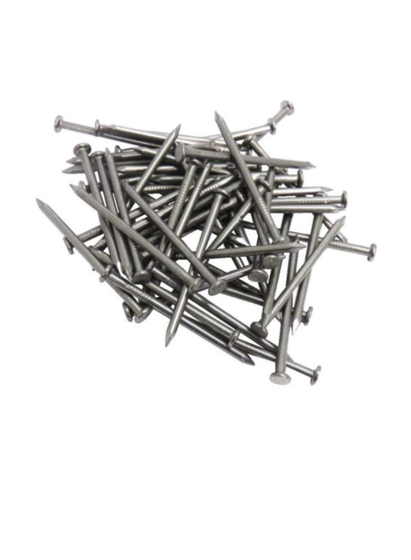 High Strength Round Head Nails For Carpentry Hardware Electrical Etc (300, 2 1/2 inch) - Image 2