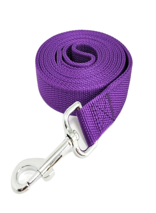 Taida Strong Nylon Dog Leash with 2-Layer, 4 FT/ 6 FT/ 7FT Long, 1 Inch Wide for Medium Large Dogs (Purple, 1'' x 2 FT) - Image 2