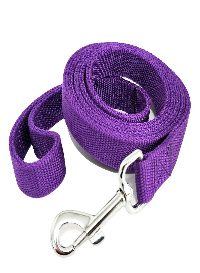 Taida Strong Nylon Dog Leash with 2-Layer, 4 FT/ 6 FT/ 7FT Long, 1 Inch Wide for Medium Large Dogs (Purple, 1'' x 2 FT) - Image 1
