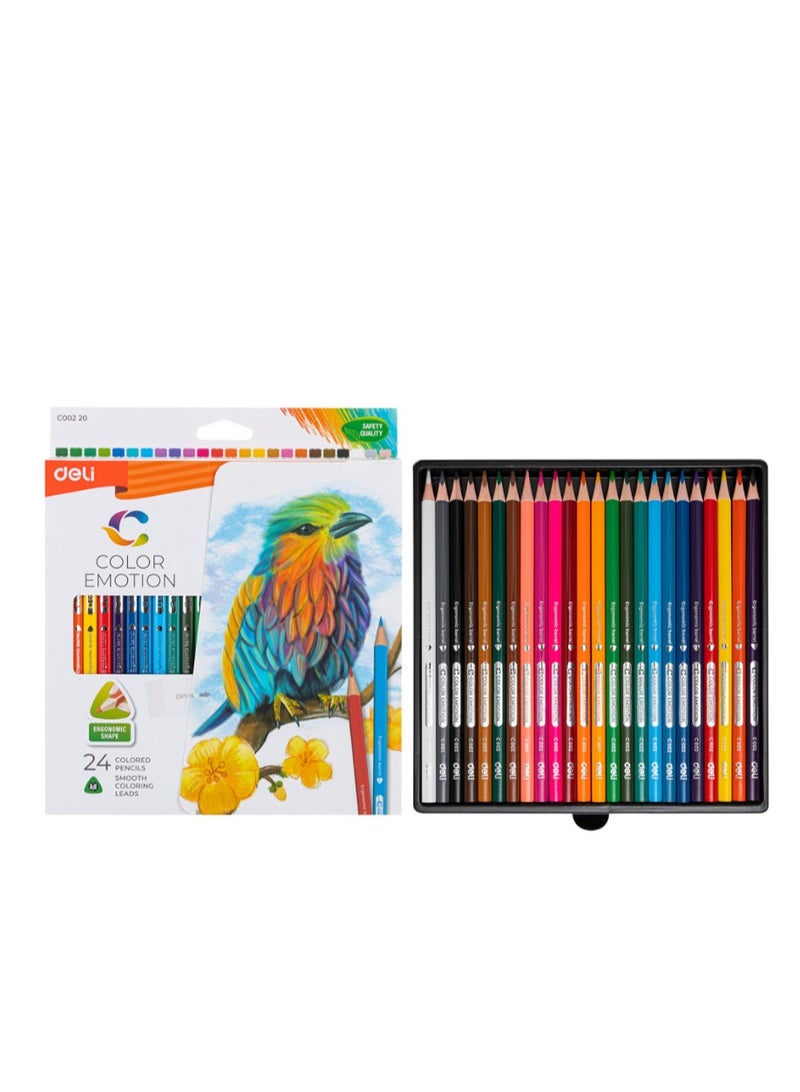 Deli Color Pencil 24Pcs 1Pck - Image 2