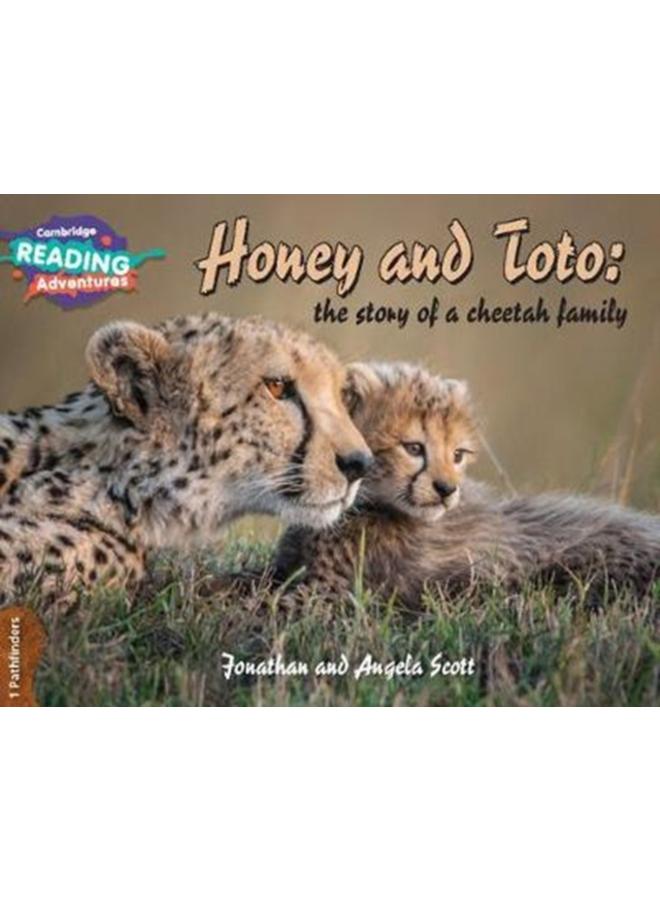 Cambridge Reading Adventures Honey and Toto: The Story of a Cheetah Family 1 Pathfinders 