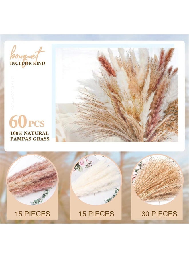 هومستر 60 جهاز كمبيوتر شخصي طبيعي مجفف باقة العشب بامباس، البني، الأبيض القصب بامباس ترتيبات الزهور الديكورات للمنزل، الغرفة، حزب المكتب، الديكور - Image 4