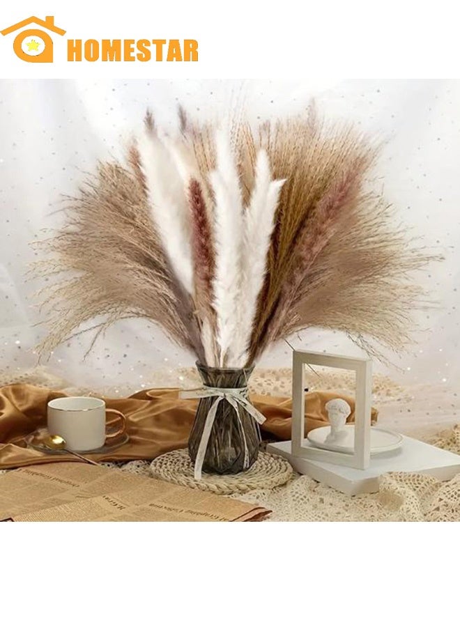 هومستر 60 جهاز كمبيوتر شخصي طبيعي مجفف باقة العشب بامباس، البني، الأبيض القصب بامباس ترتيبات الزهور الديكورات للمنزل، الغرفة، حزب المكتب، الديكور - Image 1