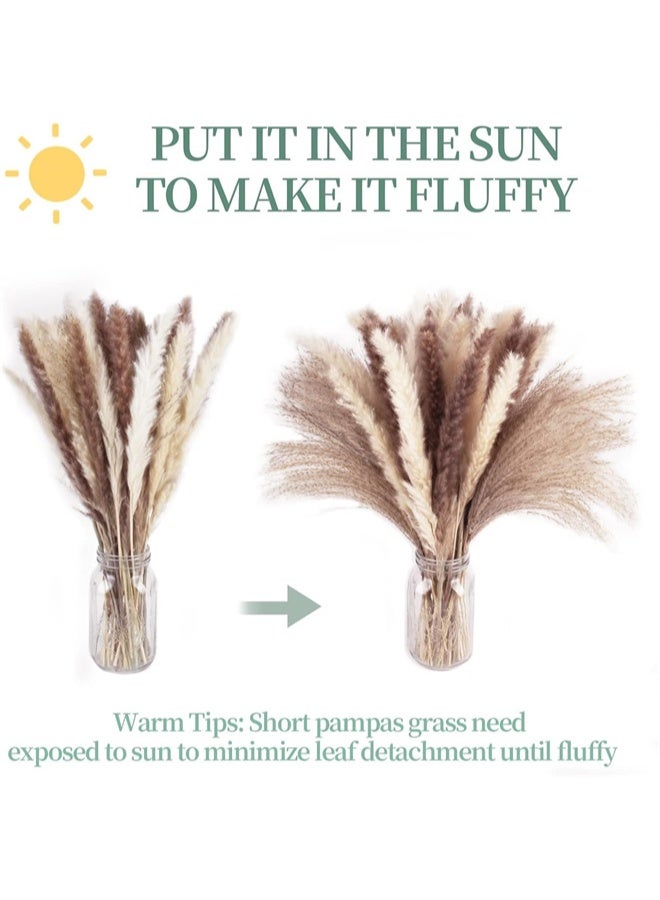 هومستر 60 جهاز كمبيوتر شخصي طبيعي مجفف باقة العشب بامباس، البني، الأبيض القصب بامباس ترتيبات الزهور الديكورات للمنزل، الغرفة، حزب المكتب، الديكور - Image 5