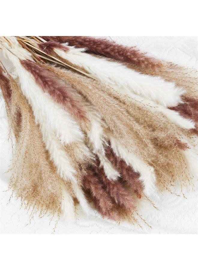 هومستر 60 جهاز كمبيوتر شخصي طبيعي مجفف باقة العشب بامباس، البني، الأبيض القصب بامباس ترتيبات الزهور الديكورات للمنزل، الغرفة، حزب المكتب، الديكور - Image 3