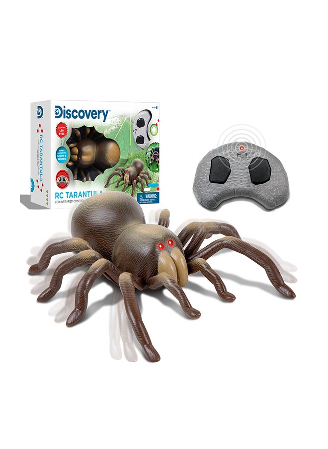Discovery Remote Control Tarantula Spider Toy, STEM Animal RC Pet for 6+ Years  - Image 2
