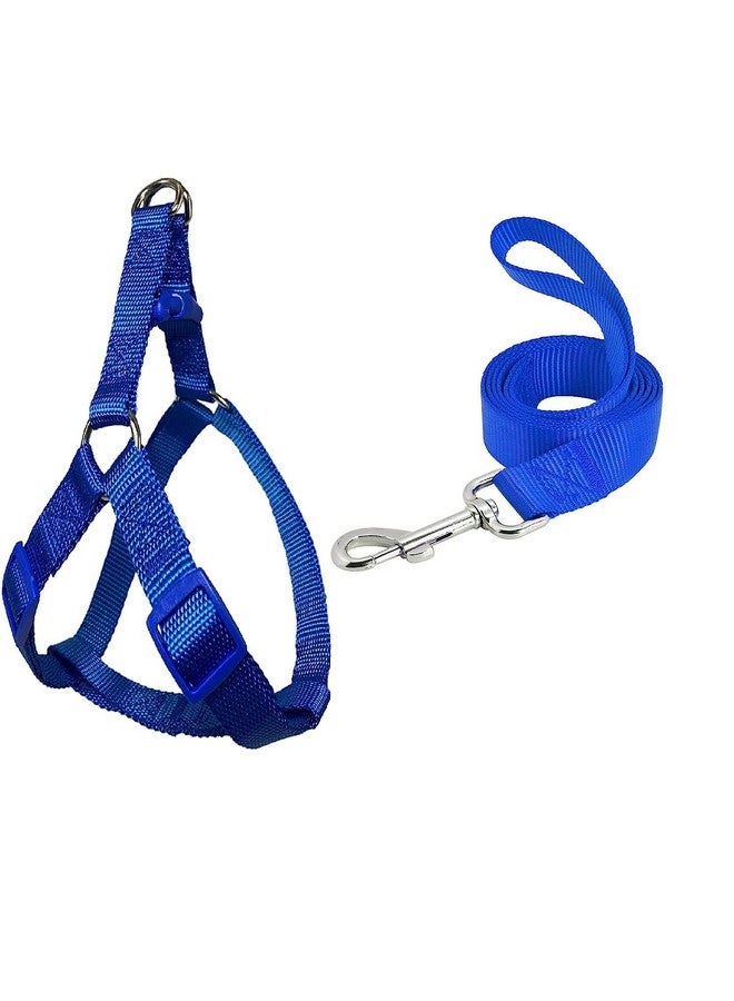مقود نايلون 15 مم مع حزام 0.5 بوصة قابل للتعديل من النايلون، مثالي للكلاب الصغيرة والجراء - أزرق - Image 1