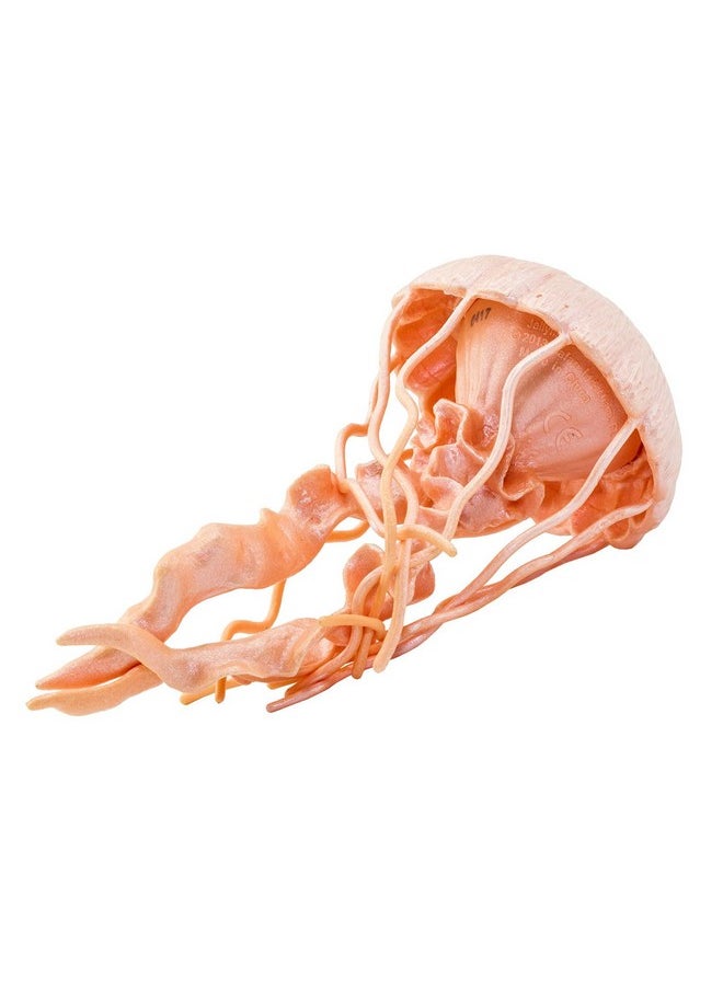 Safari Ltd. - Jellyfish Figurine Detailed 5" Plastic Model Figure Fun Educational Play Toy For Boys Girls & Kids Ages 3+ - Image 1