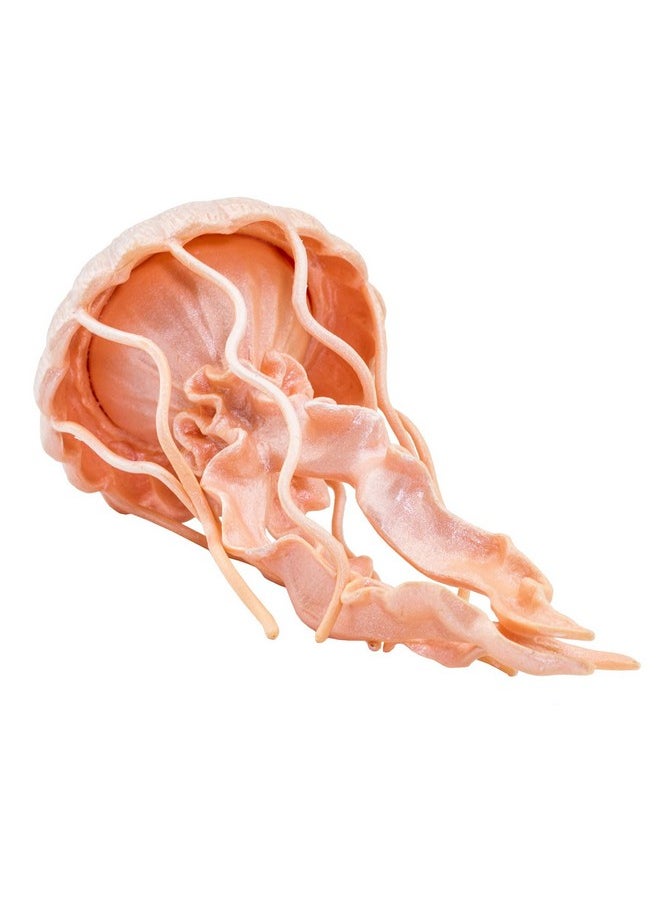 Safari Ltd. - Jellyfish Figurine Detailed 5" Plastic Model Figure Fun Educational Play Toy For Boys Girls & Kids Ages 3+ - Image 1