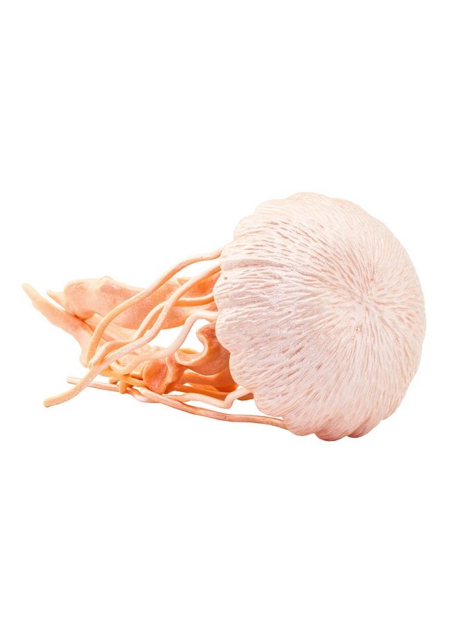 Safari Ltd. - Jellyfish Figurine Detailed 5" Plastic Model Figure Fun Educational Play Toy For Boys Girls & Kids Ages 3+ - Image 1