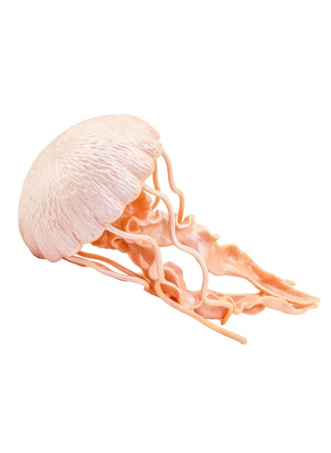 Safari Ltd. - Jellyfish Figurine Detailed 5" Plastic Model Figure Fun Educational Play Toy For Boys Girls & Kids Ages 3+ - Image 1