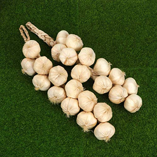 SpzcdZa SpeedDa 2 Pack Kitchen Garden Indoor Decor Artificial Garlic Strings for Home Office Decor - Image 5