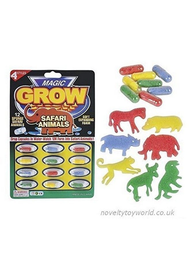 ROYALS - Kids Birthday Return Gifts (Capsule Pack Of 12) - Image 1