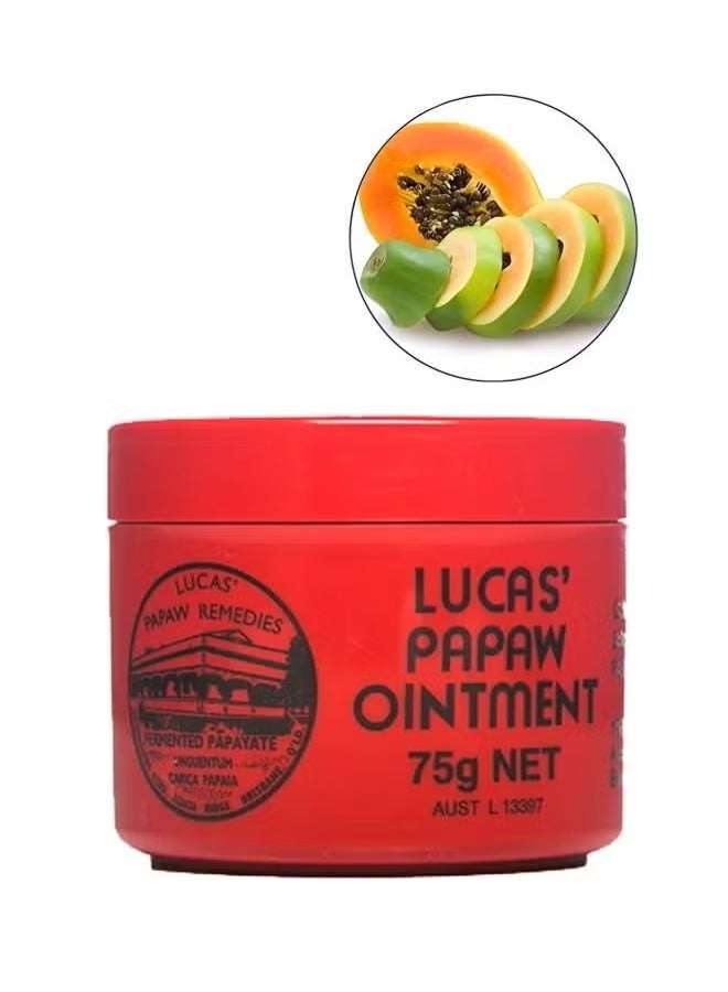 LUCAS Natural Moisturizing Lip Ointment: Deeply Hydrates, Soothes Chapped and Dry Lips, Cares for Delicate Lips 75g - Image 1