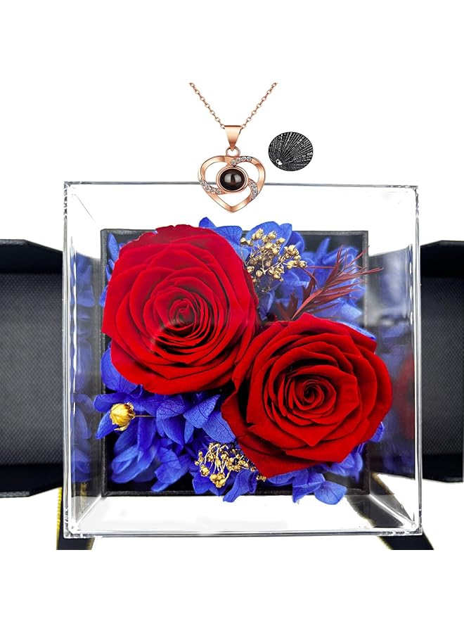 erorex Preserved Red Real Rose with I Love You Necklace, Eternal Flowers Rose Gifts for Women, Mom, Wife and Girlfriend on Christmas Valentines Day Mothers Day Anniversary Birthday Gifts for Her  - Image 1