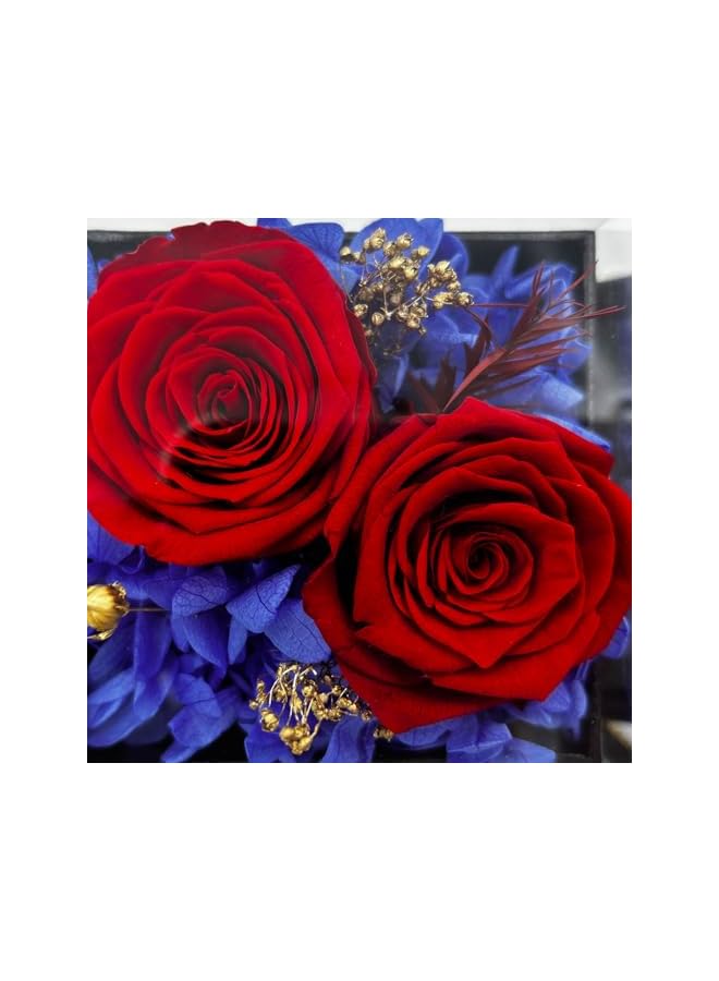 erorex Preserved Red Real Rose with I Love You Necklace, Eternal Flowers Rose Gifts for Women, Mom, Wife and Girlfriend on Christmas Valentines Day Mothers Day Anniversary Birthday Gifts for Her  - Image 4