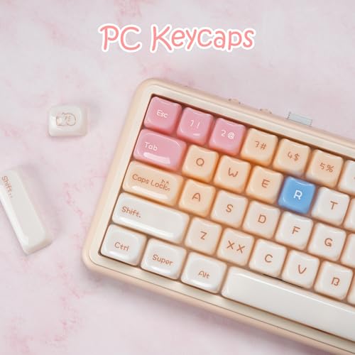 Rainy75 Jelly Jade Keycaps, Translucent Cute Ragdoll Cat Key caps, Mao Profile, Custom 148 Keys Set for 100%, 75%, 65%, 60% Mechanical Keyboard (Pink) - Image 3