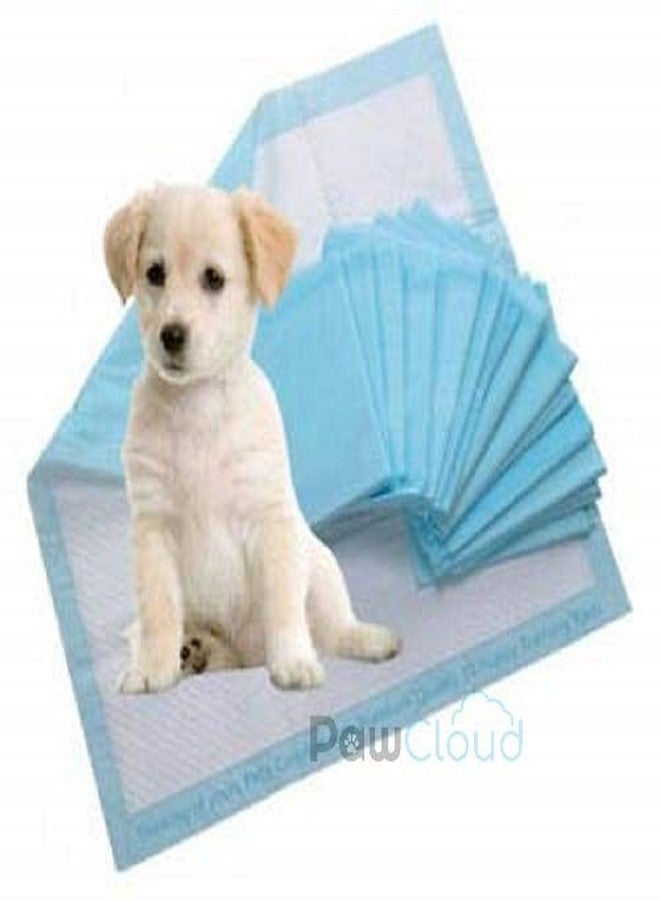 PetWag Pet Toilet Training Pad - (45X60 cm), 50 Pads - Image 4