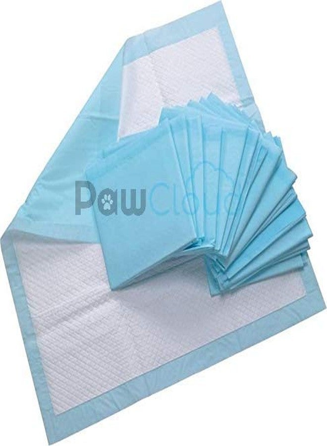 PetWag Pet Toilet Training Pad - (45X60 cm), 50 Pads - Image 1