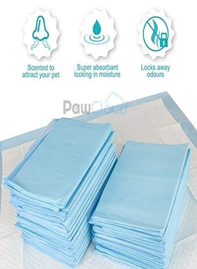 PetWag Pet Toilet Training Pad - (45X60 cm), 50 Pads - Image 2